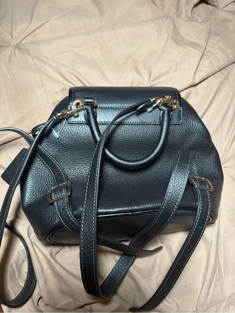 Coach Black Hadley Pebbled Leather Mini Backpack with Gold Hardware - Picture 3 of 4